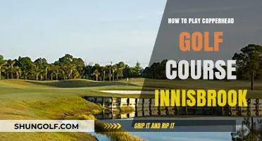 Mastering Copperhead Golf Course at Innisbrook: Tips and Strategies