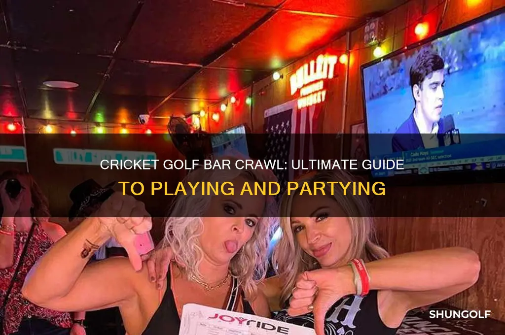 how to play cricket golf bar crawl