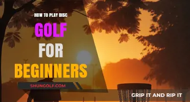Master Disc Golf Basics: Beginner's Guide to Playing and Winning