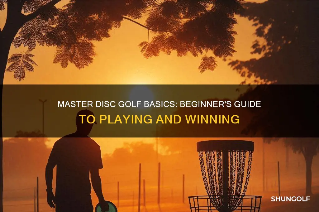 how to play disc golf for beginners