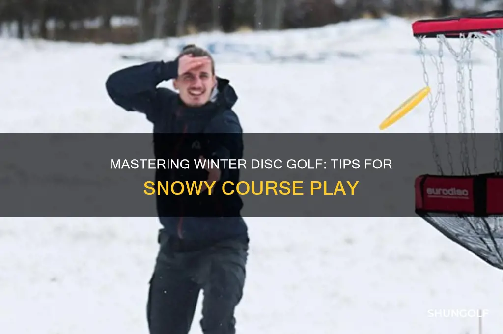 how to play disc golf in the snow