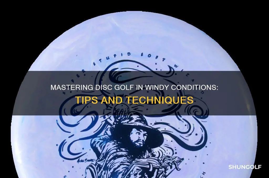 how to play disc golf in the wind