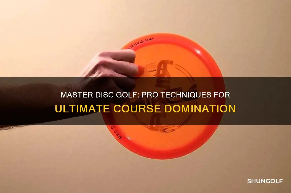 how to play disc golf like a pro