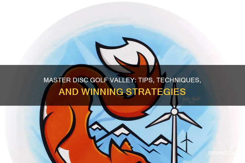 how to play disc golf valley