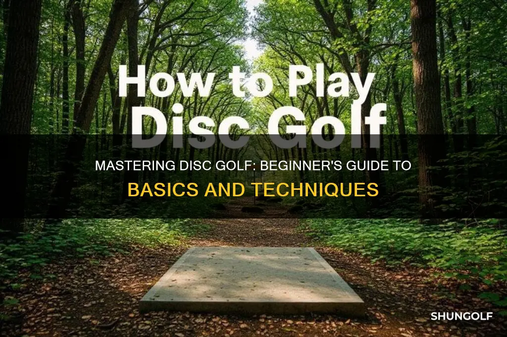 how to play disk golf for beginners