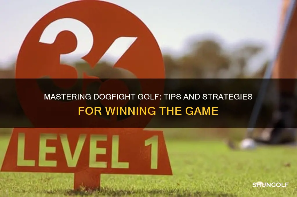 how to play dogfight in golf
