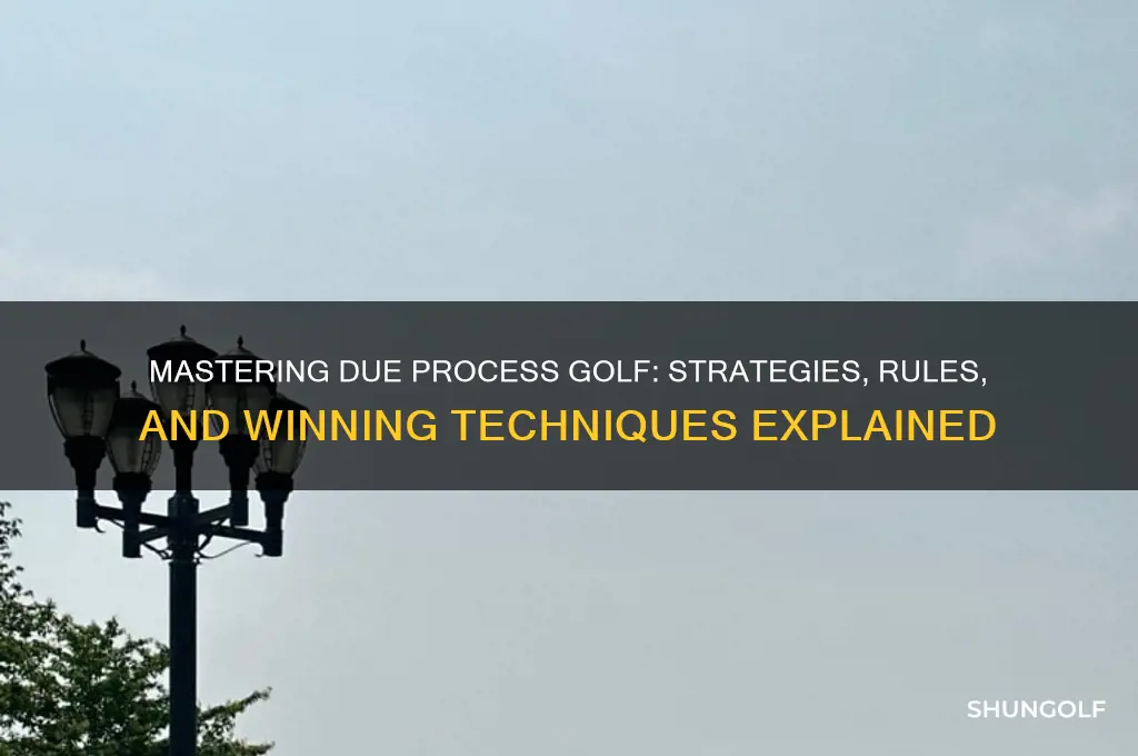 how to play due process golf