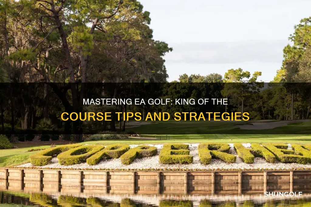 how to play ea golf king of course