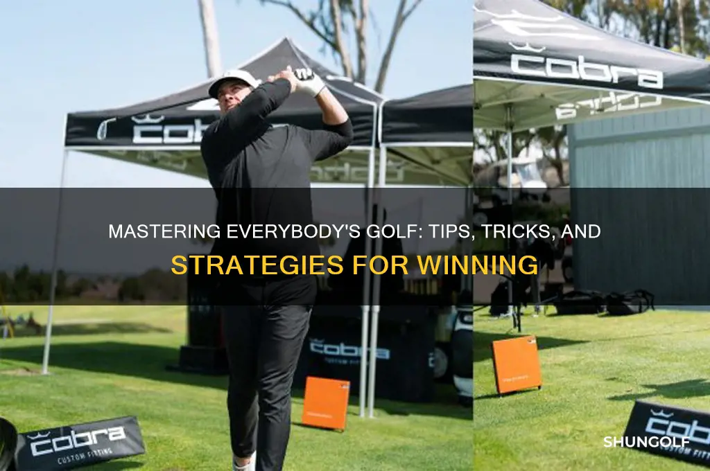 how to play everybody golfs