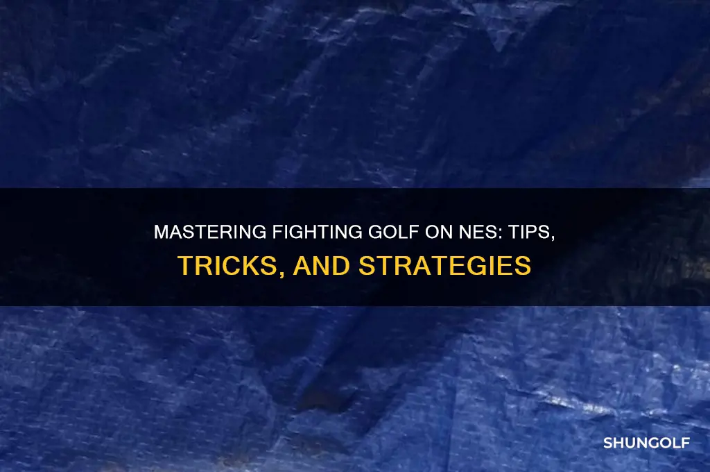 how to play fighting golf nes