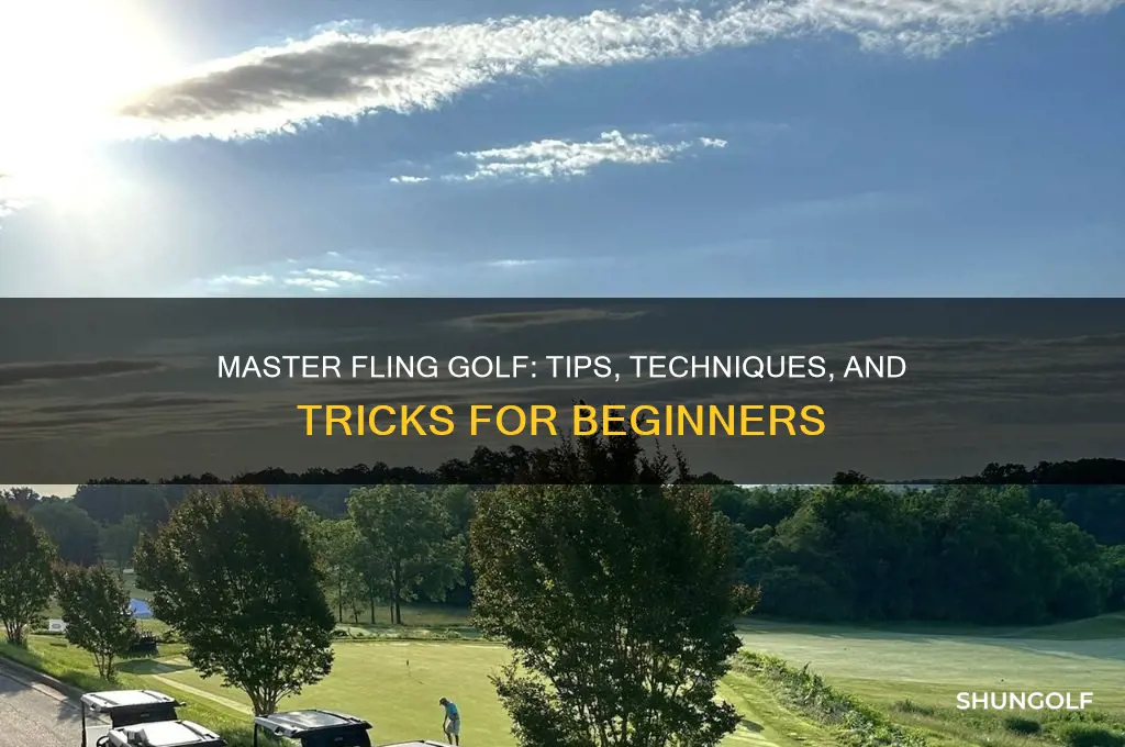how to play fling golf