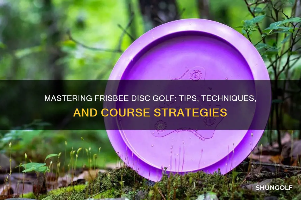 how to play frisbee disc golf