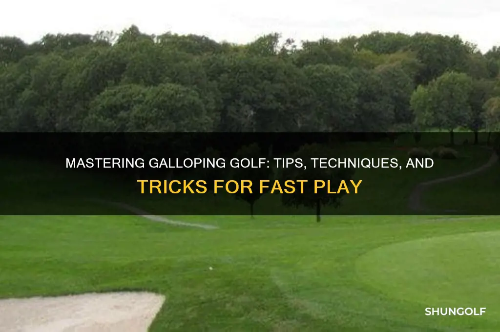 how to play galloping golf