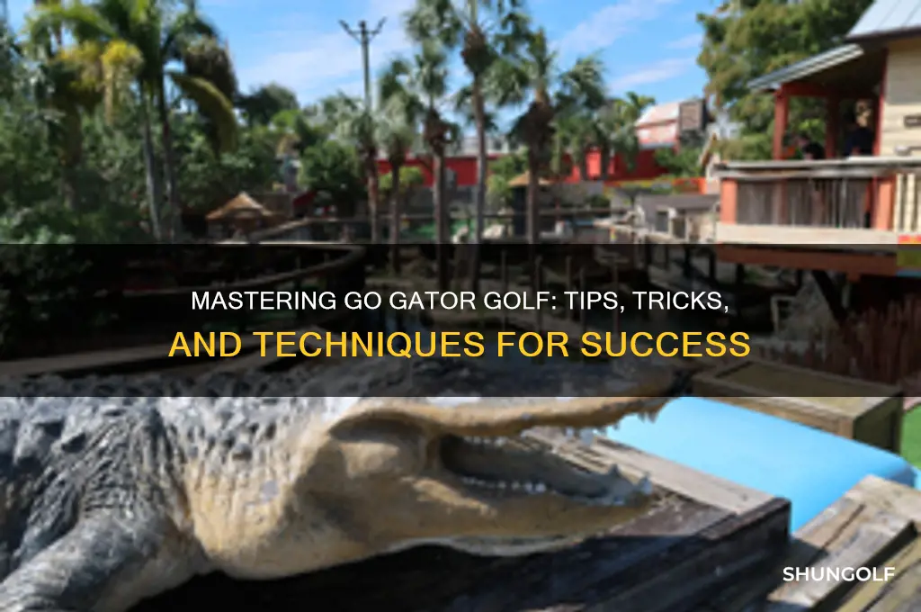 how to play go gater golf