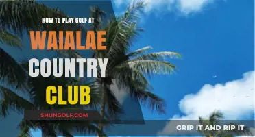Mastering Waialae Country Club: A Golfer's Guide to Playing the Course