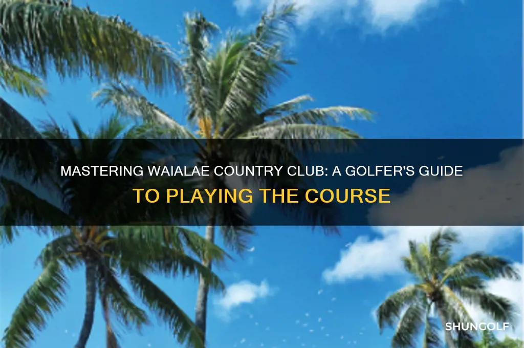 how to play golf at waialae country club