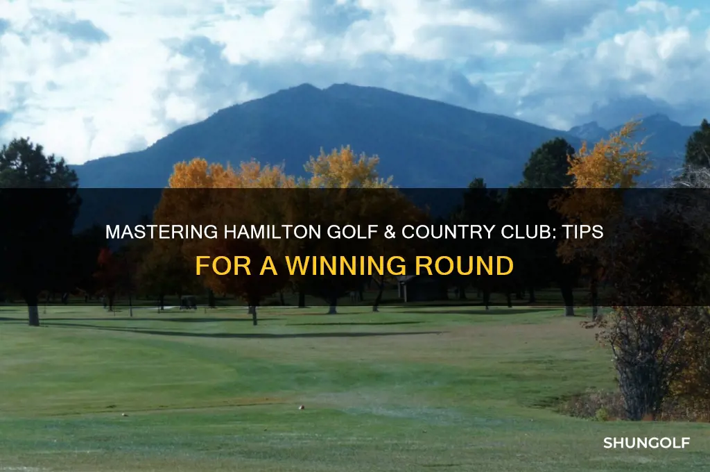 how to play hamilton golf and country club