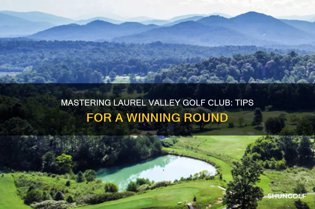 how to play laurel valley golf club