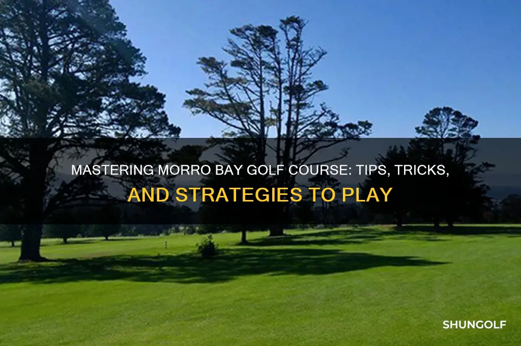 how to play morro bay golf course