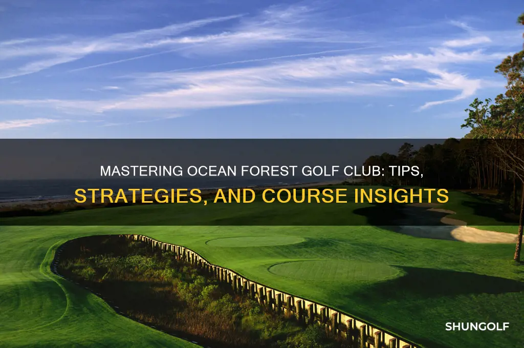 how to play ocean forest golf club