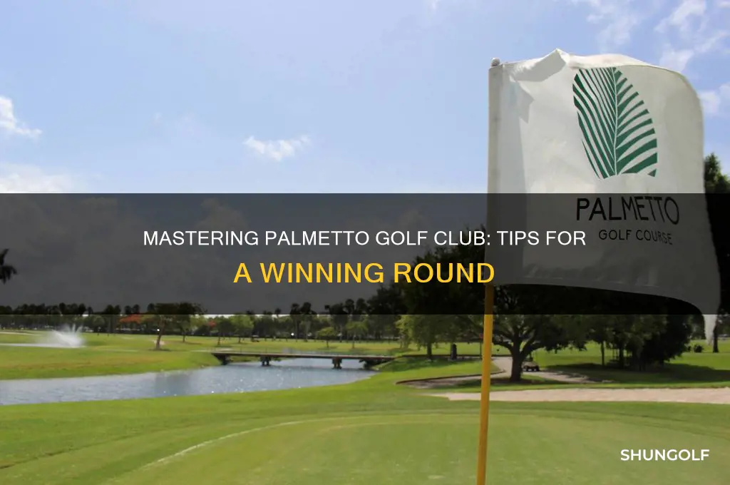 how to play palmetto golf club
