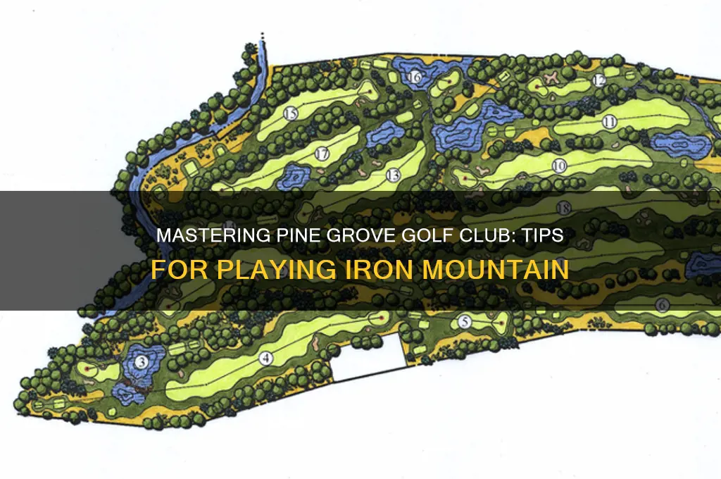 how to play pine grove golf club iron mountain