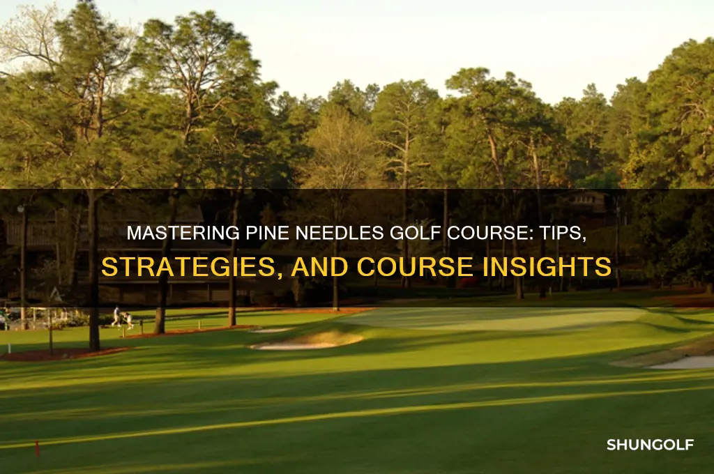 how to play pine needles golf course