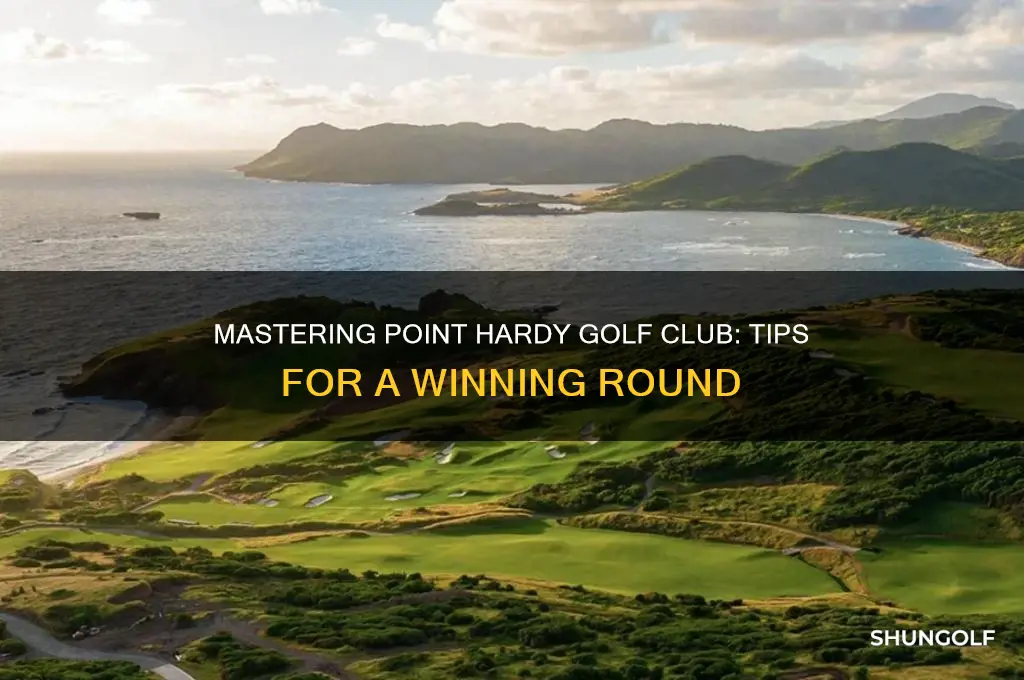 how to play point hardy golf club