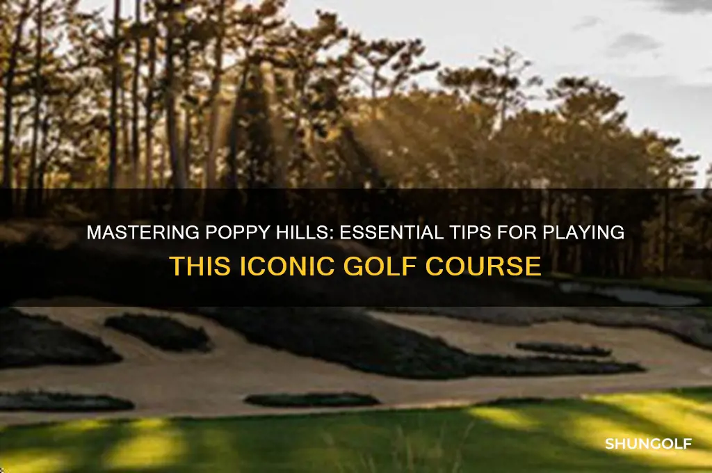 how to play poppy hills golf course