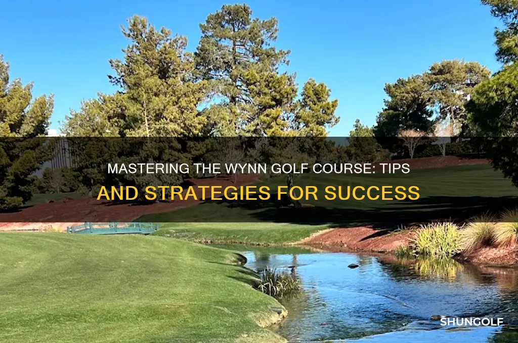 how to play the wynn golf course