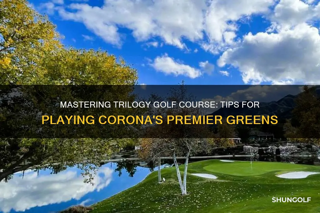how to play trilogy golf course in corona