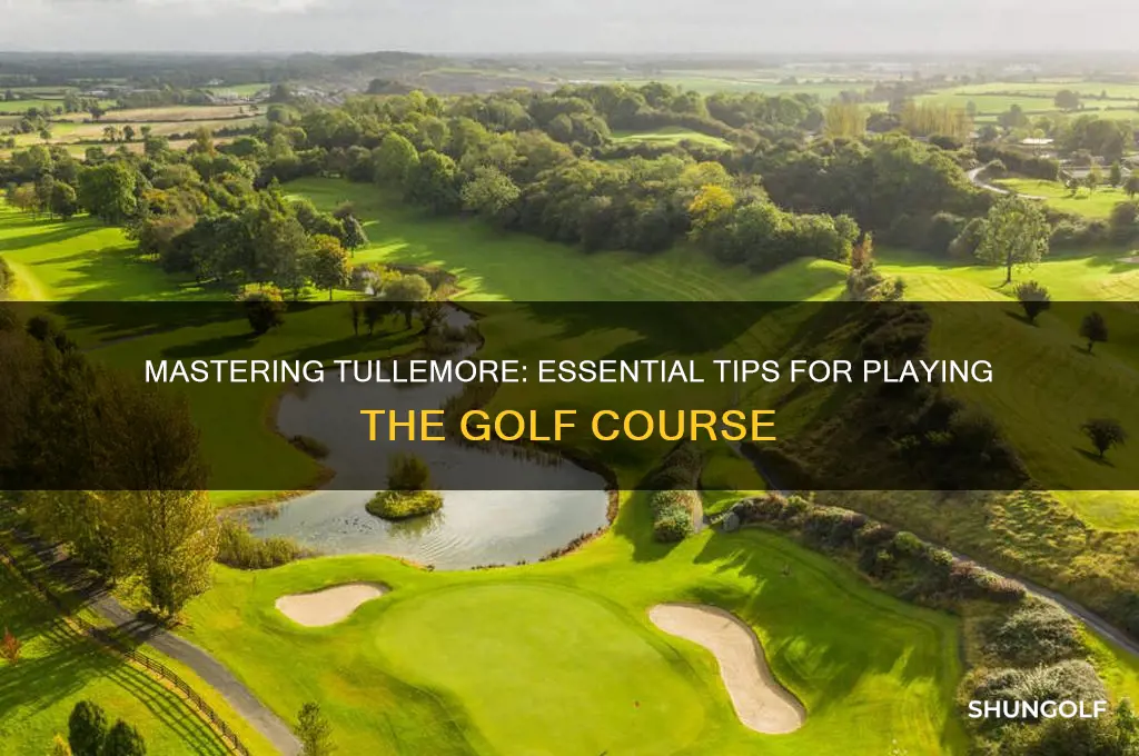 how to play tulleymore golf course
