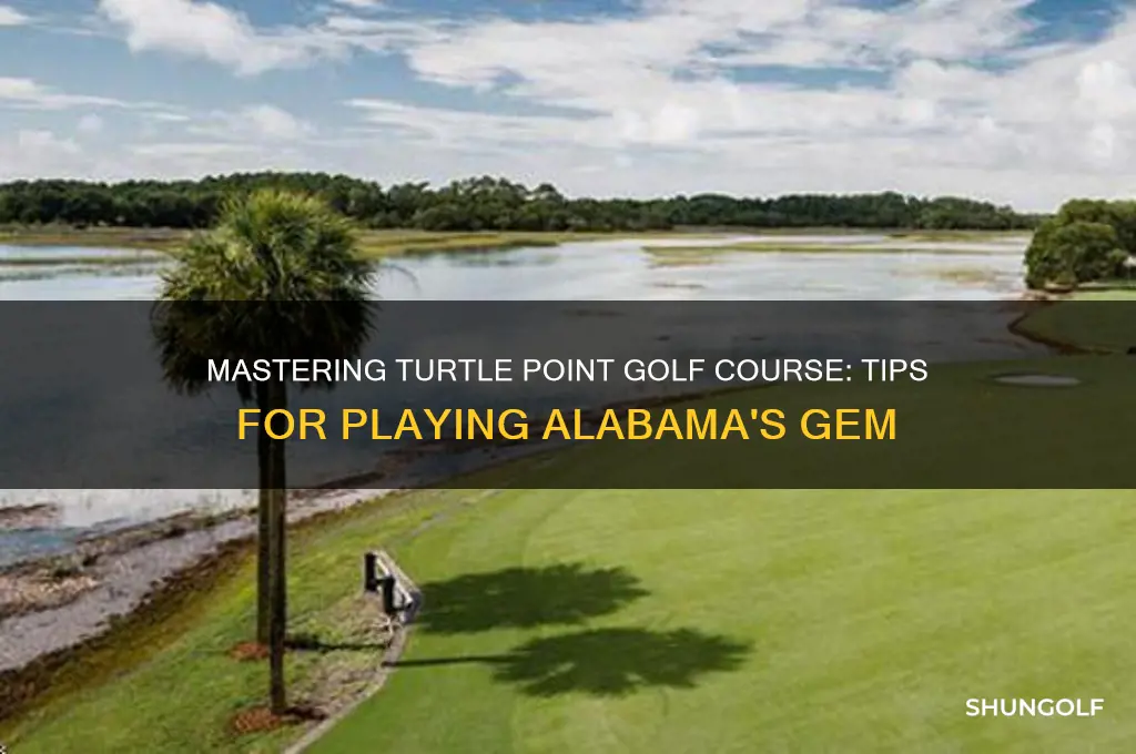 how to play turtle point golf course alabama