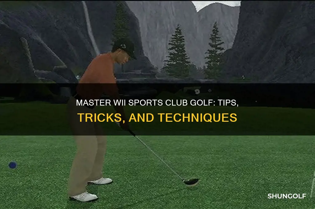 how to play wii sports club golf