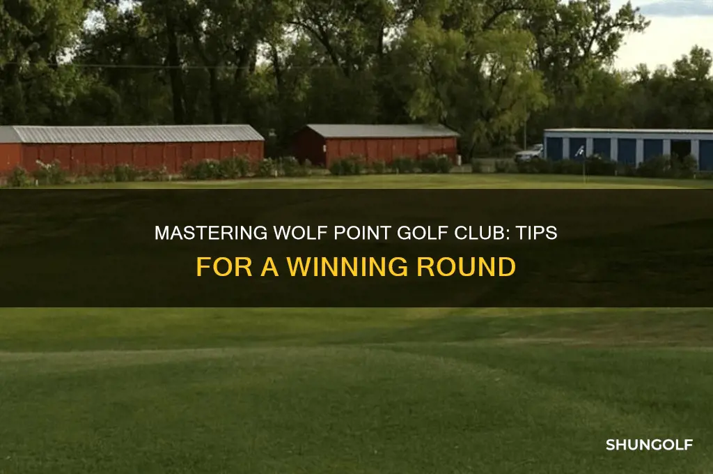 how to play wolf point golf club