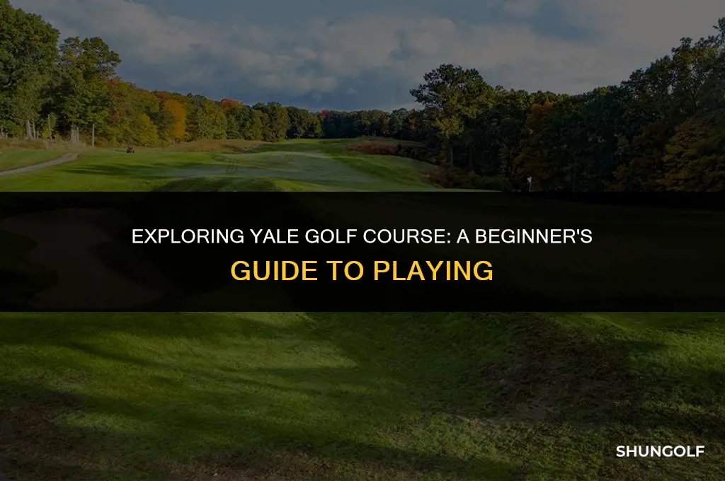 how to play yale golf course