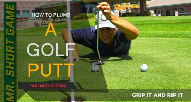 Mastering the Art of Golf Putting: Plumb-line Precision