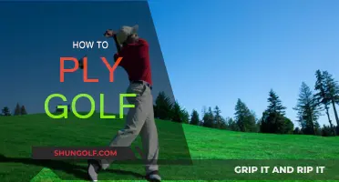 Golfing Basics: Learn to Swing and Score