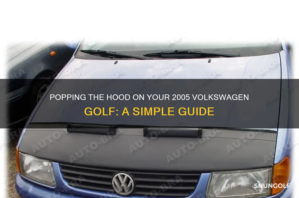how to pop the hood on a 2005 volkswagen golf