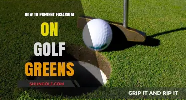 Effective Strategies to Prevent Fusarium on Golf Greens
