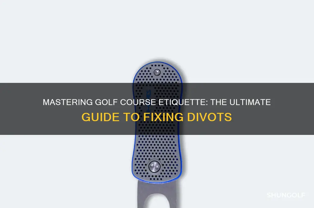 how to properly fix a golf divot