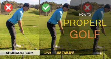 Golfing: The Perfect Swing and Beyond