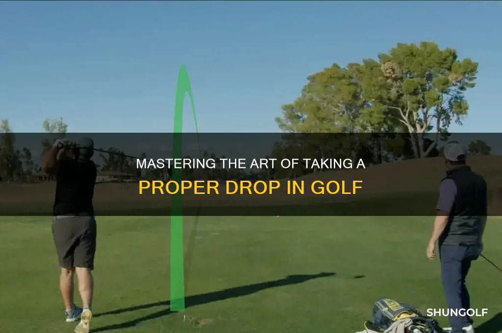 how to properly take a drop in golf