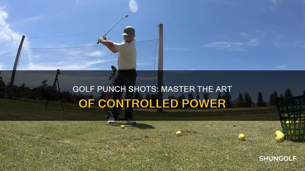 how to punch in golf