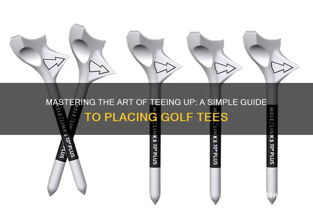 how to put a golf tee in the ground