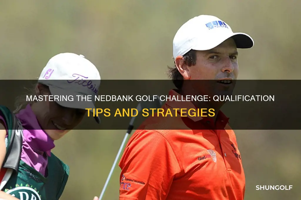 how to qualify for nedbank golf challenge