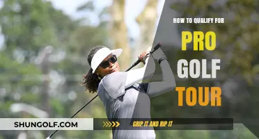 Mastering the Game: Steps to Qualify for the Pro Golf Tour