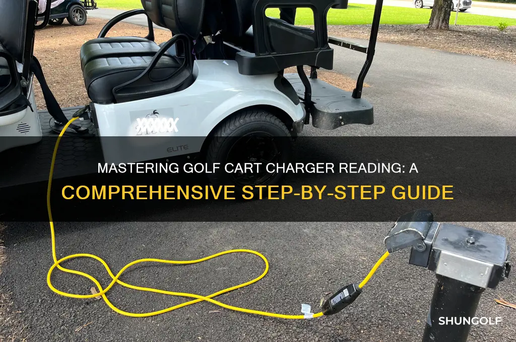 how to read a golf cart charger