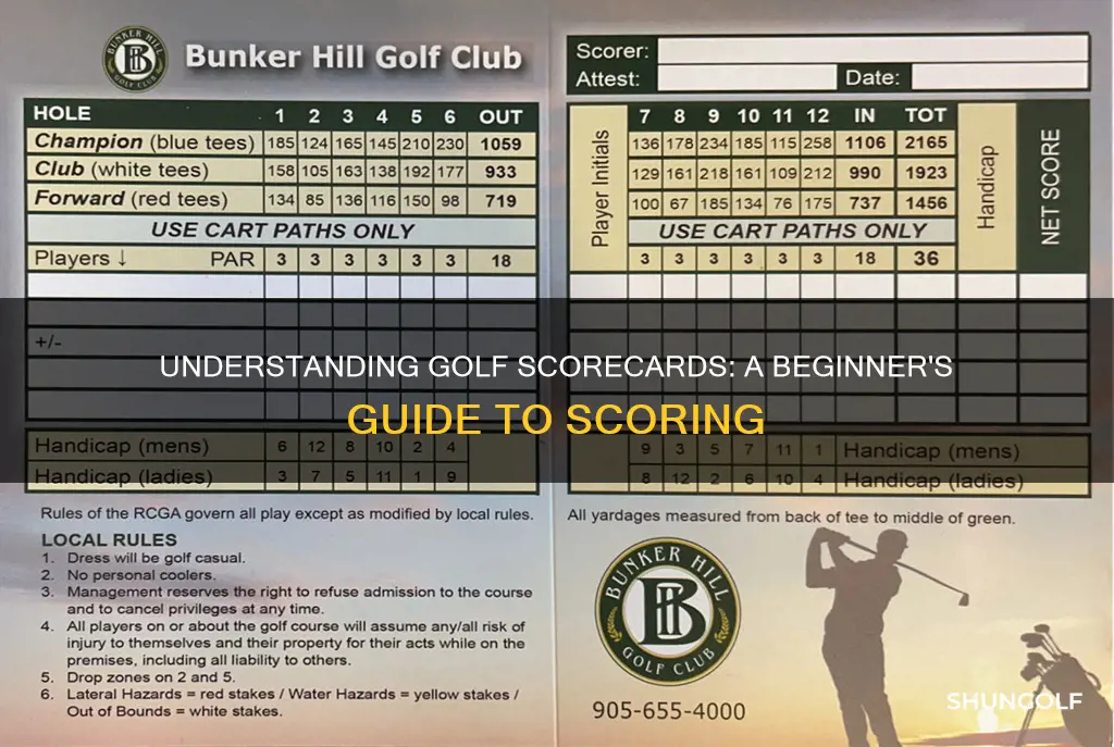 how to read a scorecard golf