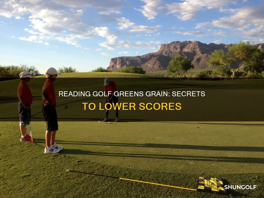 how to read golf greens grain